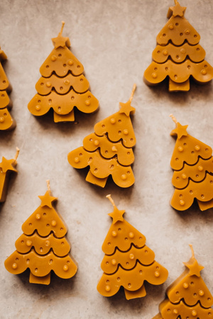 Choinka płaska -warianty