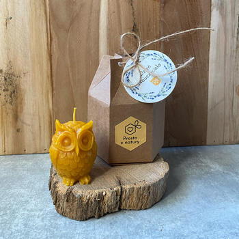 Świeca sowa w pudełku