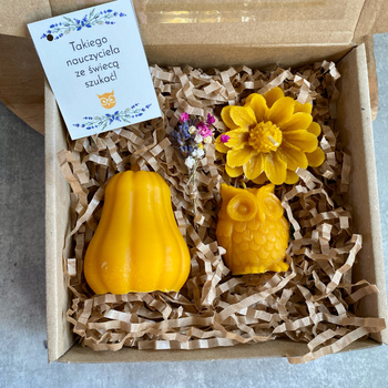 Zestaw Nauczycielski mały z dynią