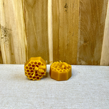 Pszczoła na plastrze miodu